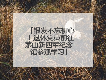 银发不忘初心！退休党员前往茅山新四军纪念馆参观学习