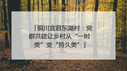铜川宜君东湖村：党群共建让乡村从“一时美”变“持久美”
