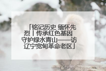 铭记历史 缅怀先烈丨传承红色基因 守护绿水青山——访辽宁宽甸革命老区