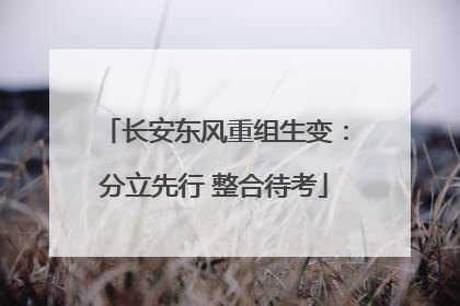 长安东风重组生变：分立先行 整合待考