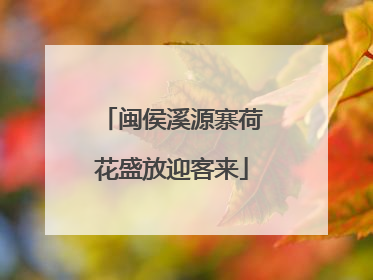 闽侯溪源寨荷花盛放迎客来