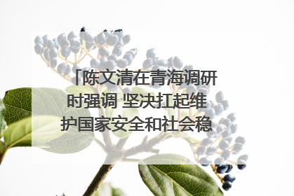 陈文清在青海调研时强调 坚决扛起维护国家安全和社会稳定职责使命 为谱写中国式现代化青海篇章贡献政法力量
