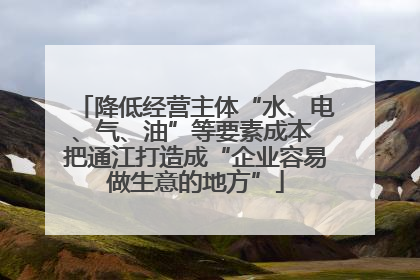 降低经营主体“水、电、气、油”等要素成本 把通江打造成“企业容易做生意的地方”