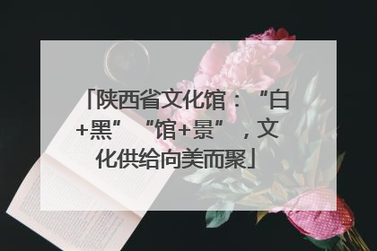 陕西省文化馆：“白+黑”“馆+景”，文化供给向美而聚