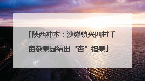 陕西神木：沙峁镇兴四村千亩杂果园结出“杏”福果
