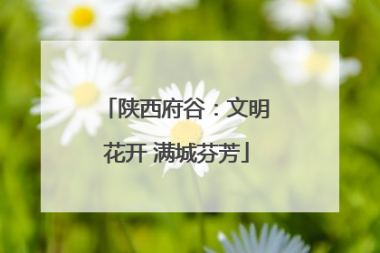 陕西府谷：文明花开 满城芬芳