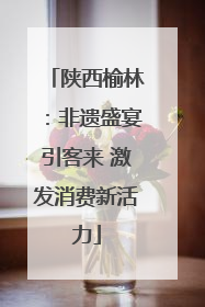 陕西榆林：非遗盛宴引客来 激发消费新活力