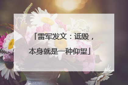 雷军发文：诋毁，本身就是一种仰望