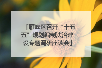 雁峰区召开“十五五”规划编制法治建设专题调研座谈会