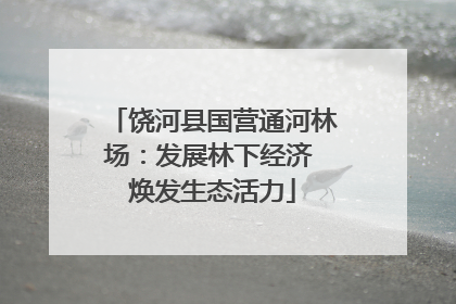 饶河县国营通河林场：发展林下经济 焕发生态活力