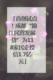 首创试点！成都“锦江民营发展贷”为118家民企授信1.7亿元