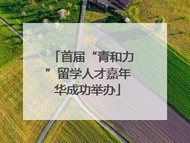 首届“青和力”留学人才嘉年华成功举办