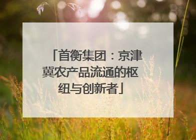 首衡集团：京津冀农产品流通的枢纽与创新者