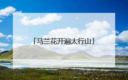 马兰花开遍太行山