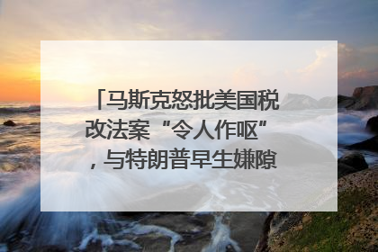 马斯克怒批美国税改法案“令人作呕”，与特朗普早生嫌隙？｜国际识局