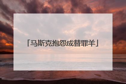 马斯克抱怨成替罪羊