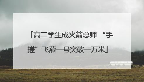 高二学生成火箭总师 “手搓”飞燕一号突破一万米