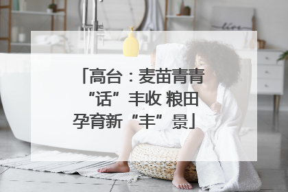 高台：麦苗青青“话”丰收 粮田孕育新“丰”景