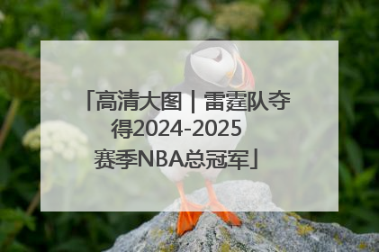 高清大图｜雷霆队夺得2024-2025赛季NBA总冠军