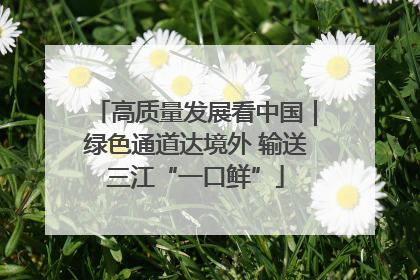 高质量发展看中国｜绿色通道达境外 输送三江“一口鲜”