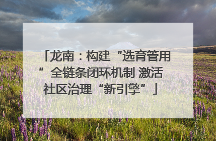 龙南：构建“选育管用”全链条闭环机制 激活社区治理“新引擎”