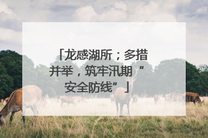 龙感湖所；多措并举，筑牢汛期“安全防线”