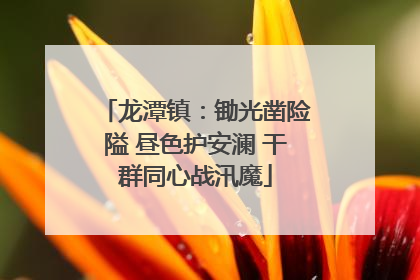 龙潭镇：锄光凿险隘 昼色护安澜 干群同心战汛魔