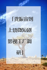 龚振宙到上饶微短剧影视工厂调研