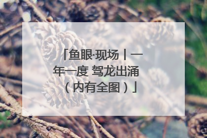 鱼眼·现场丨一年一度 驾龙出涌（内有全图）