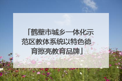 鹤壁市城乡一体化示范区教体系统以特色德育擦亮教育品牌
