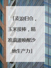 麦浪归仓，玉米接棒，精准滴灌唤醒沙地生产力