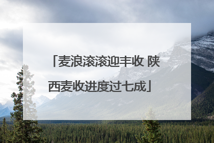 麦浪滚滚迎丰收 陕西麦收进度过七成