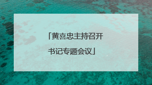 黄喜忠主持召开书记专题会议