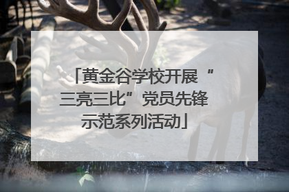 黄金谷学校开展“三亮三比”党员先锋示范系列活动