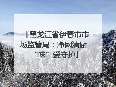 黑龙江省伊春市市场监管局：净网清厨 “味”爱守护