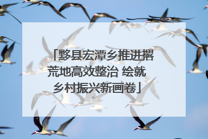 黟县宏潭乡推进撂荒地高效整治 绘就乡村振兴新画卷