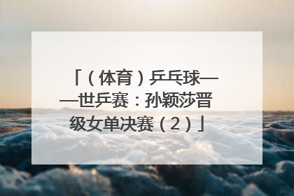 （体育）乒乓球——世乒赛：孙颖莎晋级女单决赛（2）