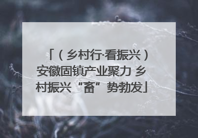 （乡村行·看振兴）安徽固镇产业聚力 乡村振兴“畜”势勃发