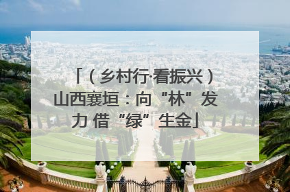 （乡村行·看振兴）山西襄垣：向“林”发力 借“绿”生金