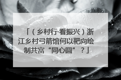 （乡村行·看振兴）浙江乡村弓箭馆何以靶向绘制共富“同心圆”？