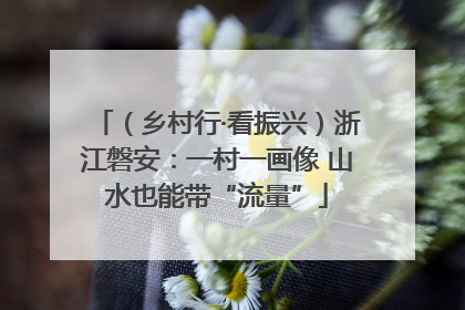 （乡村行·看振兴）浙江磐安：一村一画像 山水也能带“流量”