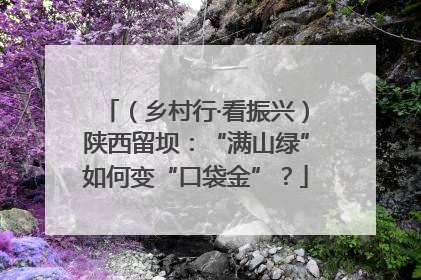 （乡村行·看振兴）陕西留坝：“满山绿”如何变“口袋金”？