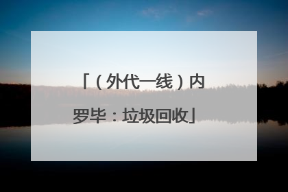 （外代一线）内罗毕：垃圾回收