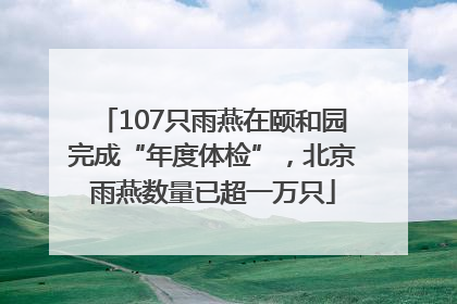 107只雨燕在颐和园完成“年度体检”，北京雨燕数量已超一万只