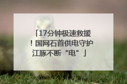 17分钟极速救援！国网石首供电守护江豚不断“电”