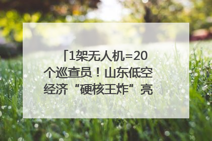 1架无人机=20个巡查员！山东低空经济“硬核王炸”亮相青岛，下一个万亿赛道藏在这里