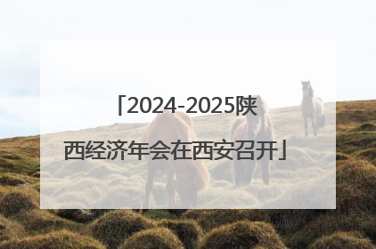 2024-2025陕西经济年会在西安召开