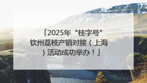 2025年“桂字号”钦州荔枝产销对接（上海）活动成功举办！
