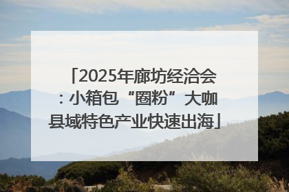 2025年廊坊经洽会：小箱包“圈粉”大咖 县域特色产业快速出海