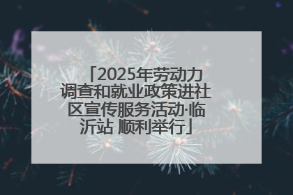 2025年劳动力调查和就业政策进社区宣传服务活动·临沂站 顺利举行